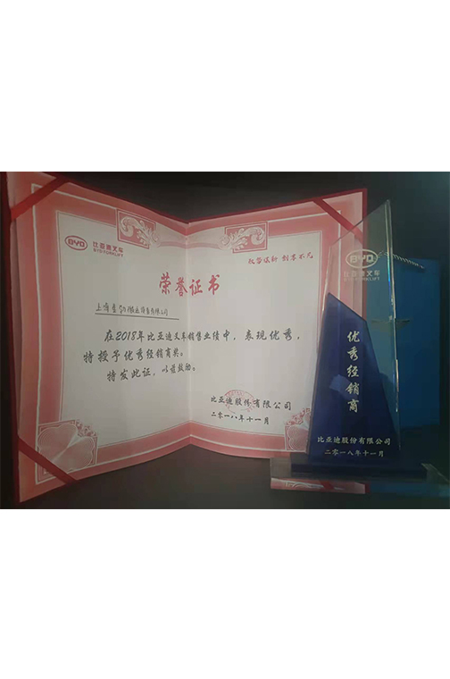 青浦区比亚迪2018优秀经销商